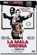Watch The Italian Connection Movie25