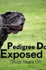 Watch Pedigree Dogs Exposed, Three Years On Movie25