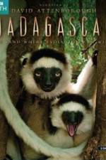 Watch Madagascar Island of Marvels Movie25