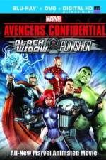 Watch Avengers Confidential: Black Widow & Punisher Movie25