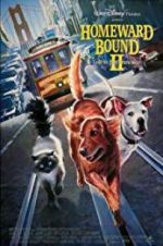 Watch Homeward Bound II: Lost in San Francisco Movie25