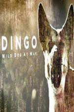 Watch Dingo Wild Dog at War Movie25