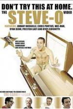 Watch Don't Try This at Home The Steve-O Video Movie25