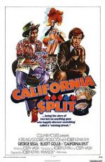 Watch California Split Movie25