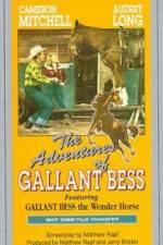 Watch Adventures of Gallant Bess Movie25