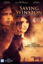 Watch Saving Winston Movie25