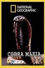 Watch National Geographic Cobra Mafia Movie25