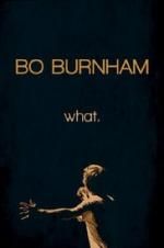 Watch Bo Burnham: what. Movie25