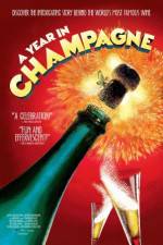 Watch A Year in Champagne Movie25