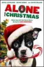 Watch Alone For Christmas Movie25