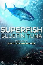 Watch Superfish Bluefin Tuna Movie25