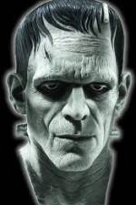 Watch Frankenstein Birth of a Monster Movie25
