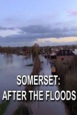 Watch Somerset: After the Floods Movie25