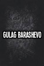 Watch Gulag Barashevo Movie25