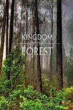 Watch National Geographic Kingdom of the Forest Movie25