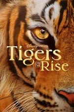 Watch Tigers on the Rise Movie25