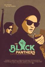 Watch The Black Panthers Vanguard of the Revolution Movie25