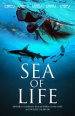 Watch Sea of Life Movie25