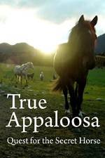 Watch True Appaloosa Movie25