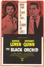 Watch The Black Orchid Movie25
