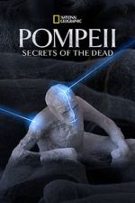 Watch Pompeii: Secrets of the Dead (TV Special 2019) Movie25