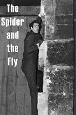 Watch The Spider and the Fly Movie25