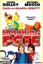 Watch Hatching Pete Movie25