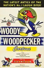 Watch The Woody Woodpecker Polka Movie25
