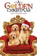 Watch A Golden Christmas Movie25
