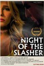 Watch Night of the Slasher Movie25