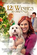 Watch 12 Wishes of Christmas Movie25