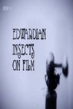 Watch Edwardian Insects on Film Movie25