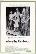 Watch Where the Lilies Bloom Movie25