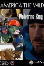 Watch National Geographic Wild America the Wild Wolverine King Movie25