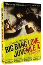 Watch Big Bang Love Juvenile A Movie25