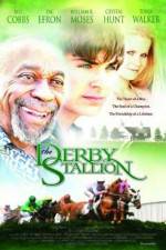 Watch The Derby Stallion Movie25
