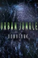 Watch National Geographic Wild Urban Jungle Downtown Movie25