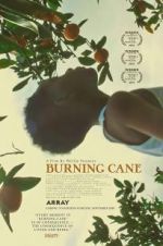 Watch Burning Cane Movie25