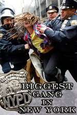 Watch NYPD: Biggest Gang in New York? Movie25