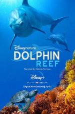Watch Dolphin Reef Movie25