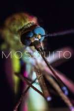 Watch Mosquito Movie25