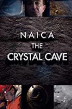 Watch Naica: Secrets of the Crystal Cave Movie25