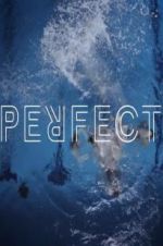 Watch Perfect Movie25