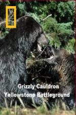 Watch National Geographic Grizzly Cauldron Movie25
