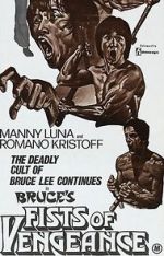 Watch Bruce\'s Fists of Vengeance Movie25