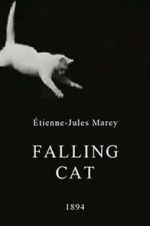 Watch Falling Cat Movie25