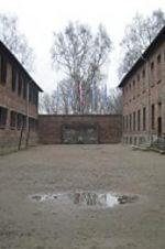 Watch Made in Auschwitz: The Untold Story of Block 10 Movie25