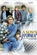 Watch A Son's Promise Movie25