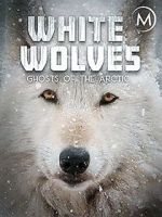 Watch White Wolves: Ghosts of the Arctic Movie25