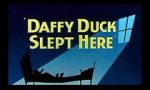 Watch Daffy Duck Slept Here (Short 1948) Movie25